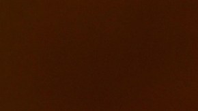 Cupones SNAP extra de adultos mayores