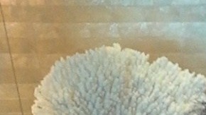 MediCal ofrece cobertura de doula durante el embarazo, el parto y posparto. (Cortesía Verónica Hinojosa)