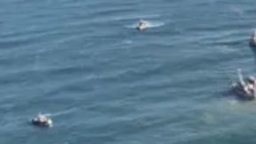 El muelle flotante fue concebido en todo momento como una estructura temporal.