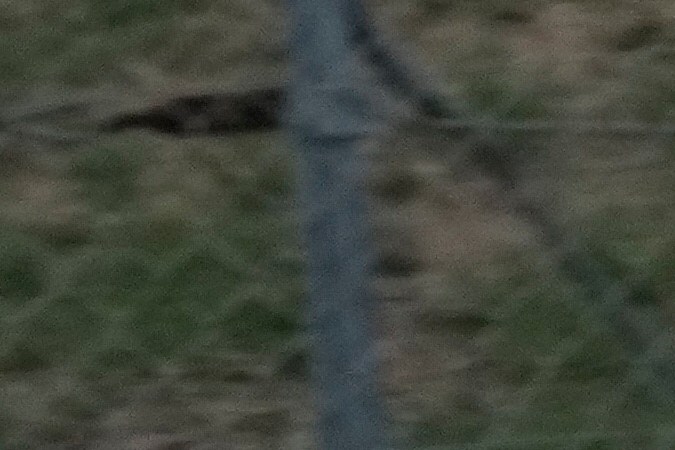 El español de la escudería Aston Martin, Fernando Alonso, acechando al mexicano Sergio "Checo" Pérez (Red Bull) en el comienzo del Gran Premio de España.