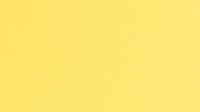 Gana lotería cuando lleva a su perro al veterinario