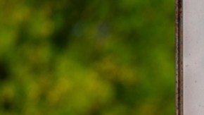 OMS confirma la primera muerte humana por gripe aviar H5N2 en México