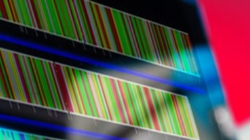 OMS espera resultados genéticos de la primera muerte humana por gripe aviar H5N2