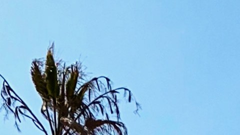 Muran en honor a la memoria de Sergio y Ricardo Ríos.