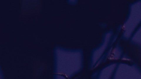 La Luna Llena de Fresa afecta a cada signo zodiacal.