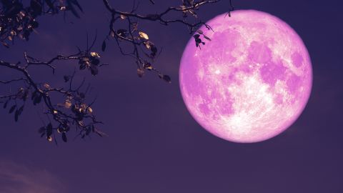 La Luna Llena de Fresa afecta a cada signo zodiacal.