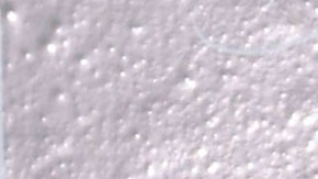 Manuel Velasco y Anahí