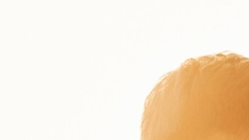 Mes de la Salud del Hombre: hábitos durante la niñez pueden mantenerlos sanos durante toda su vida