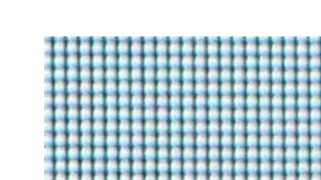 Niurka y Juan Osorio