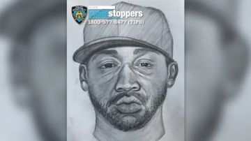 Revelan boceto del sospechoso que intentó violar a una mujer que tomaba el sol en Central Park, NY