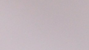 Se cree que la planta del dinero atrae la prosperidad.