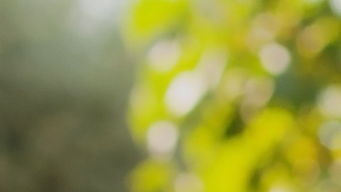 Los signos más sabios saben dar buenos consejos, según la astrología.