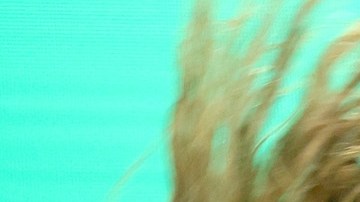 Shakira