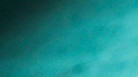 Mujer de Wisconsin envenenaba el café de su marido con medicamentos de eutanasia animal