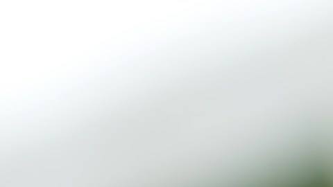 Teléfono