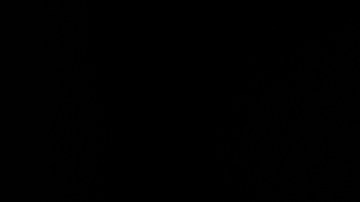 Hispano mató a tiros a su jefe durante una disputa laboral en Texas