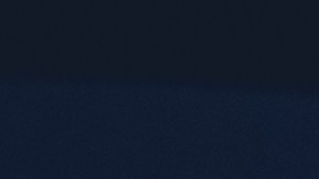 Revelan descripción del sospechoso del tiroteo fatal durante celebración por el Juneteenth en Texas