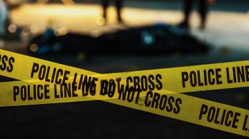 Arrestan en Nuevo México a niño de 11 años responsable de una importante ola de crímenes