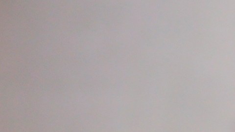 Guardia de tránsito de Massachusetts golpeó a una mujer y a su hija de 12 años con su señal de alto