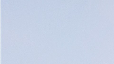 Starlink