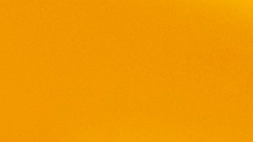 Extraño accidente en Florida: una mujer fue atravesada por un paraguas mientras tomaba el sol