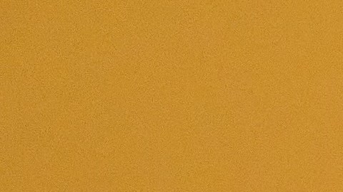 Las personas más leales pudieran tener signos zodiacales en común.