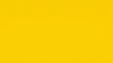 Síndrome de Down: un hueso antiguo revela cómo cuidaban de los niños con esta condición en la prehistoria