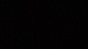 El “Dólar Lafayette” que puede valer hasta $8,000 dólares