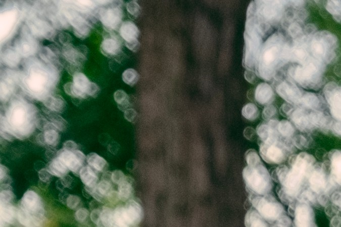 Tom Hardy como 'Johnny' y Austin Butler como 'Benny' en "The Bikeriders"