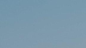 Gripe aviar en Estados Unidos: Departamento de Agricultura pagará a los agricultores por la pérdida de leche