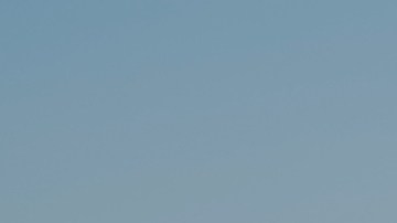 Gripe aviar en Estados Unidos: Departamento de Agricultura pagará a los agricultores por la pérdida de leche