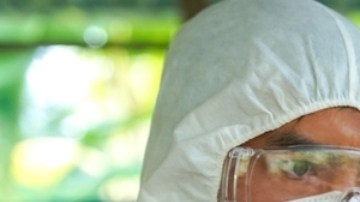 La UE garantizará 40 millones de vacunas contra la gripe aviar para 15 países