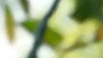 Michelle Renaud cuerpo postparto selfie