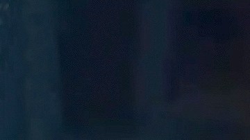 Aracely Arámbula papá