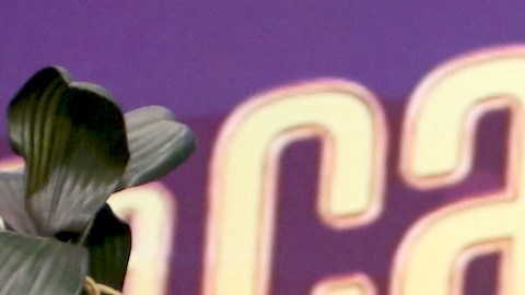 Maripily Rivera