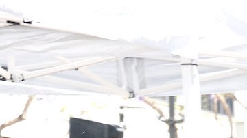 Jacqie, Chiquis, Jenicka, Johnny y Michael, hijos de Jenni Rivera, acompañados de amigos como Gloria Trevi y familiares como Lupillo Rivera, Rosie Rivera, Doña Rosa y Don Pedro Rivera, entre otros, recibieron y develaron la estrella póstuma de Jenni Rivera en el Paseo de la Fama de Hollywood, donde proclamaron también el 27 de junio como el "Día de Jenni Rivera"/Los Angeles, 27 de junio 2024