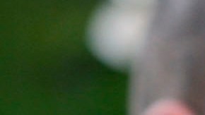 Angelina Jolie divorcio Brad Pitt