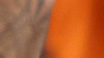 East Rutherford (United States), 28/06/2024.- Uruguay head coach Marcelo Bielsa watches during the first half of a CONMEBOL Copa America 2024 group C match between Uruguay and Bolivia, in East Rutherford, New Jersey, USA, 27 June 2024. EFE/EPA/JUSTIN LANE