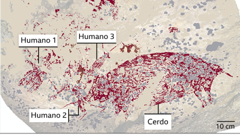 El fascinante hallazgo de las pinturas rupestres más antiguas del mundo