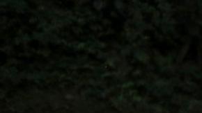 EE.UU. "se compromete a cubrir el gasto de la repatriación" de migrantes por Darién.