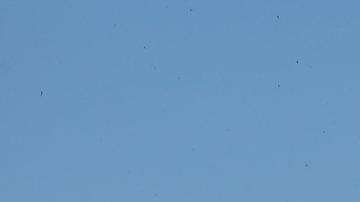 Tras un ataque aéreo israelí contra un edificio residencial,  se produce una explosión en Nuseirat, en el centro de la Franja de Gaza.