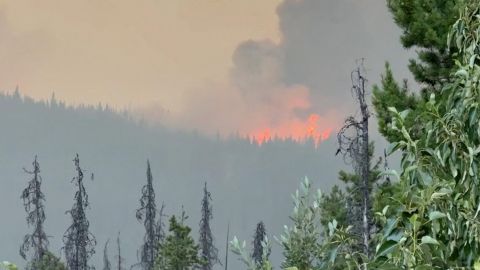 Canadá: incendio forestal comienza a destruir zona turística