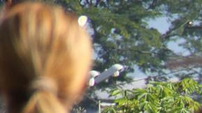 Las elecciones presidenciales están programadas para el domingo 28 de julio.