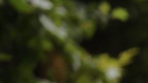 PARÍS, 25/07/2024.- El tenista español Rafa Nadal a su llegada a la ceremonia oficial del sorteo de cuadros de singles y dobles del tenis olímpico celebrado este jueves en el Club des Loges del Estade Roland Garros, París. EFE/ Emilio Lavandeira