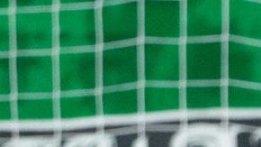 Pumas perdió en su primer partido.