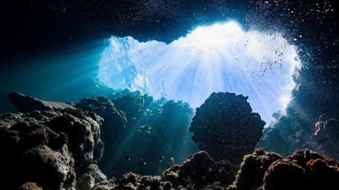 “Oxígeno oscuro”: qué es y por qué sorprende que haya sido descubierto en el fondo del océano