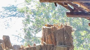 A young visitor takes a stroll through the Descanso Railroad © Descanso Gardens
