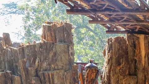 A young visitor takes a stroll through the Descanso Railroad © Descanso Gardens