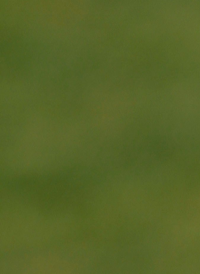 Mexico`s national team head coach Javier Aguirre jokes with the media as he arrives to a training session at the Waterstone college in Johannesburg, Wednesday, June 9, 2010. Mexico will play in Group A at the soccer World Cup scheduled to start on June 11. (AP Photo/Guillermo Arias)