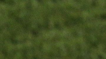 Mexico head coach Javier Aguirre gestures during the World Cup group A soccer match between France and Mexico at Peter Mokaba Stadium in Polokwane, South Africa, Thursday, June 17, 2010. (AP Photo/Hassan Ammar)